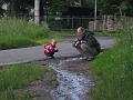 wisniowy sad 18